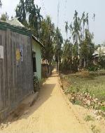 20161018_162449 (791) - Copy (Custom)